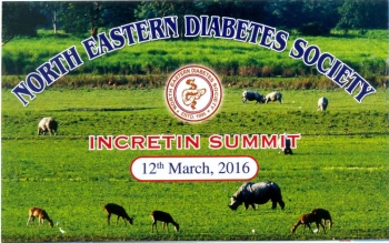 North Eastern Diabetes Society, Incretin Summit 2016